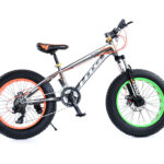 FAT TIRE BIKE 20"