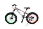 FAT TIRE BIKE 20" - Image 3