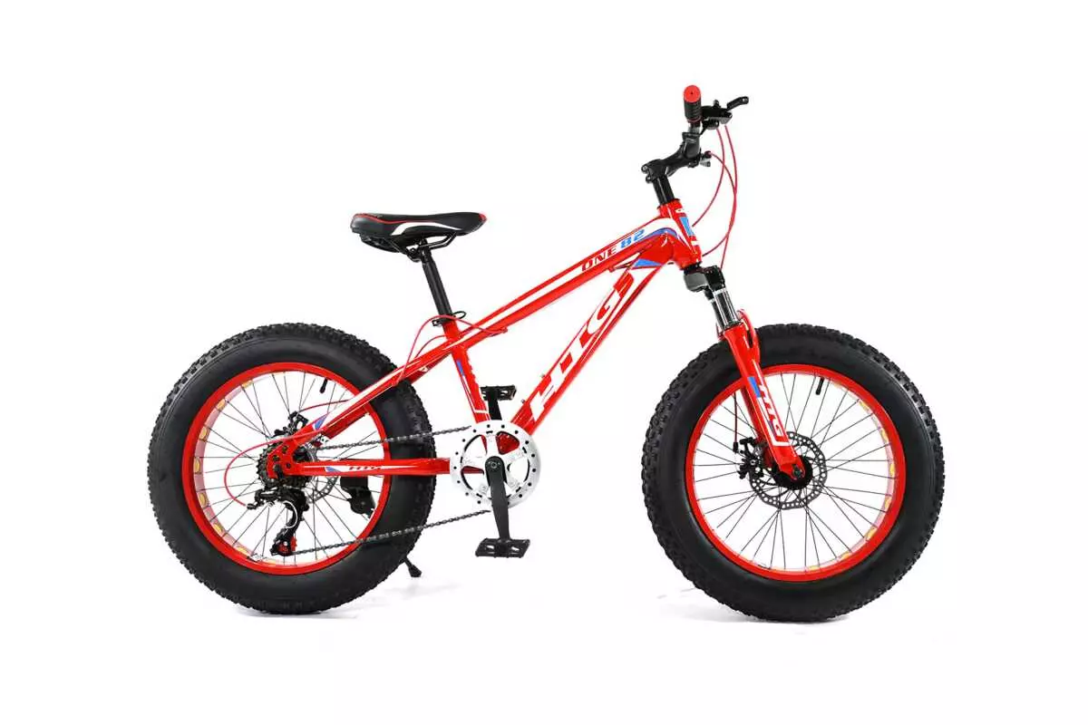 FAT TIRE BIKE 20" - Image 6