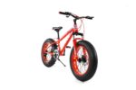 FAT TIRE BIKE 20" - Image 4