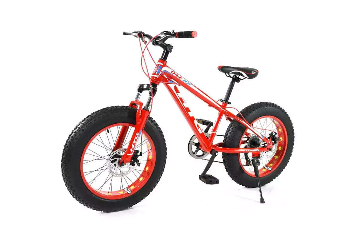FAT TIRE BIKE 20" - Image 8