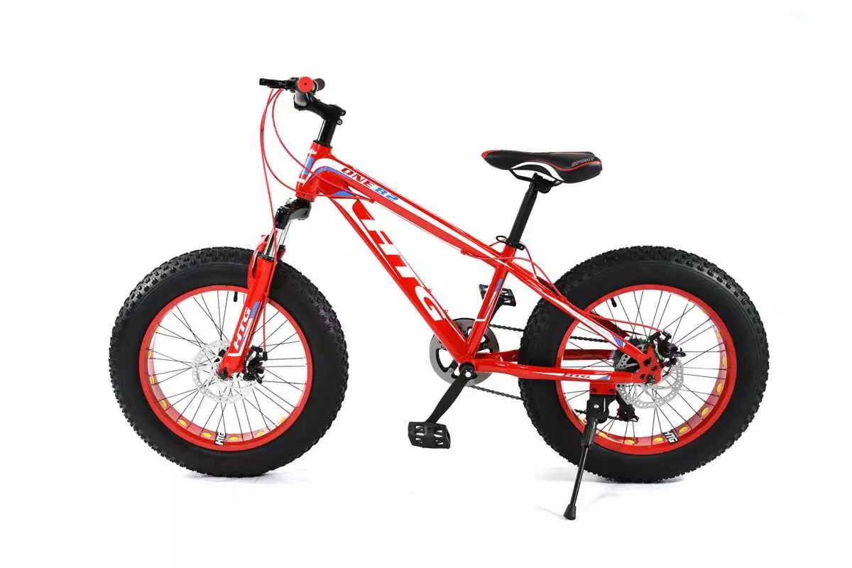 FAT TIRE BIKE 20" - Image 11