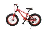 FAT TIRE BIKE 20" - Image 11