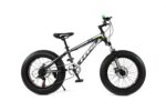 FAT TIRE BIKE 20" - Image 5