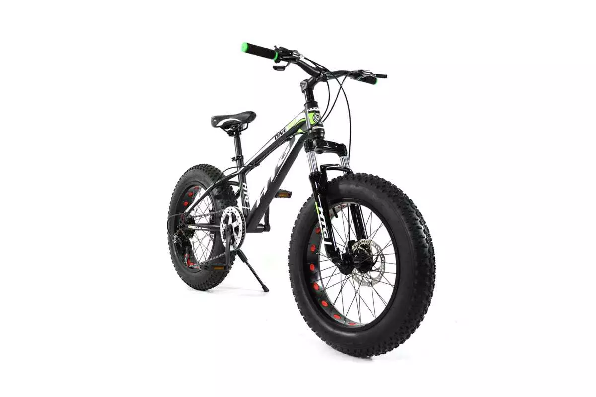 FAT TIRE BIKE 20" - Image 2