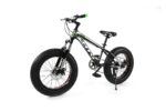FAT TIRE BIKE 20" - Image 9