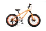 FAT TIRE BIKE 20"