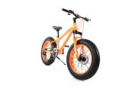 FAT TIRE BIKE 20" - Image 3