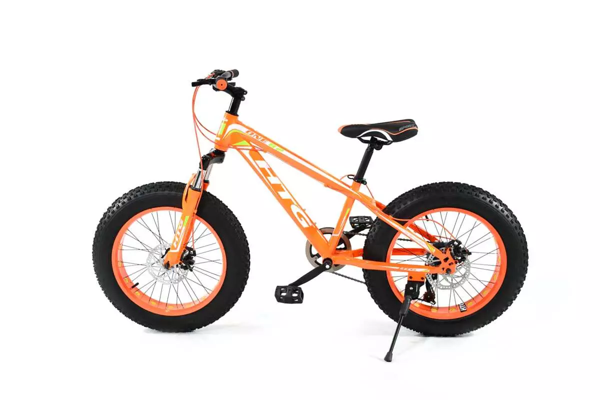 FAT TIRE BIKE 20" - Image 10