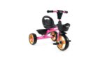 KIDS TRICYCLE ROYALBABY - Image 4