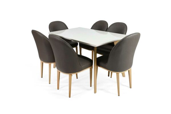 DINING SET WITH 6 CHAIRS