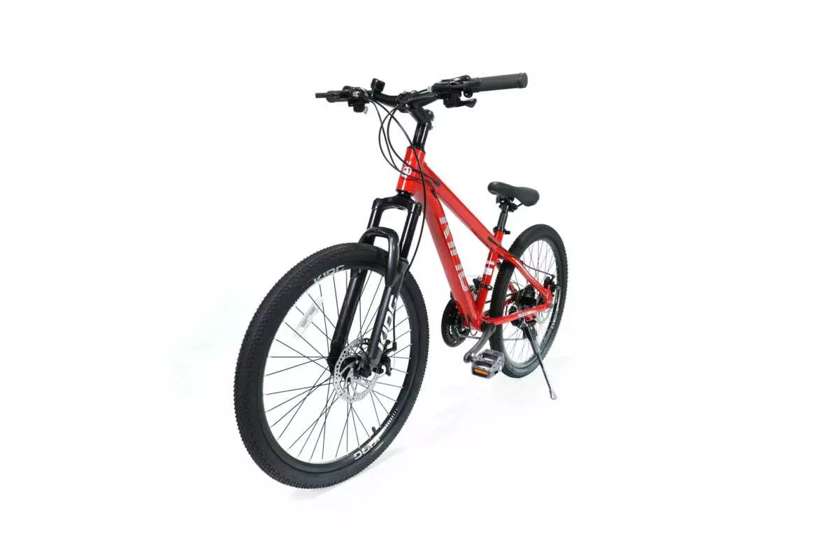 MOUNTAIN BIKE 24" ROYALBABY - Image 6