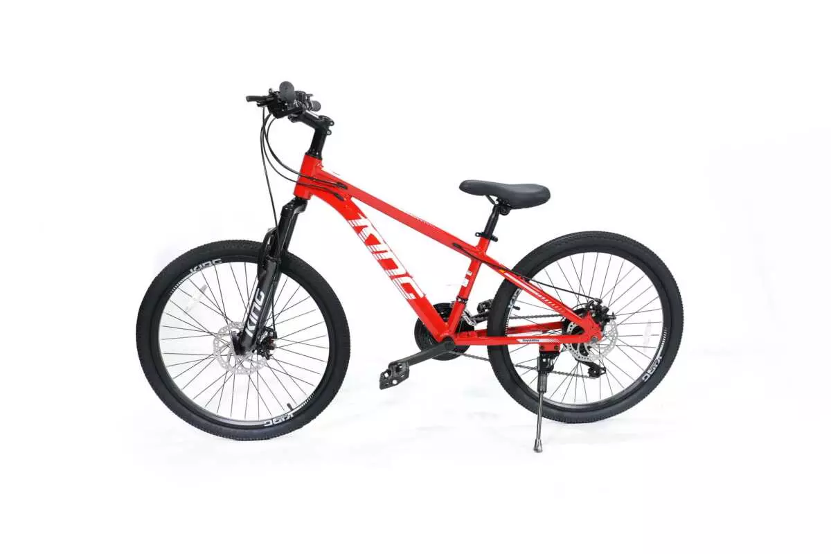 MOUNTAIN BIKE 24" ROYALBABY - Image 8