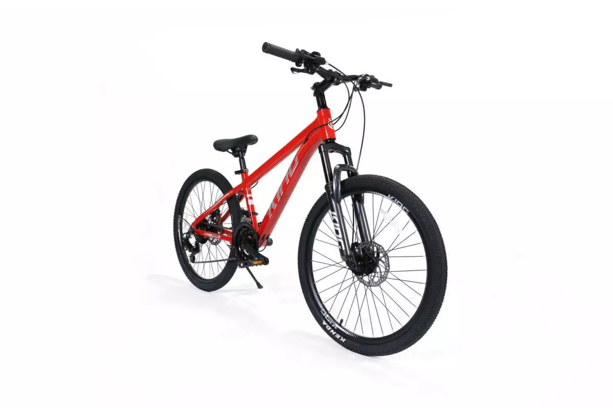 MOUNTAIN BIKE 24" ROYALBABY - Image 7