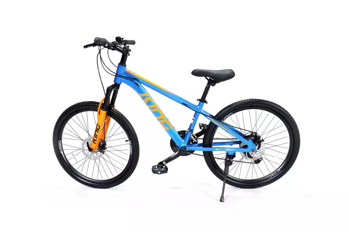 MOUNTAIN BIKE 24" ROYALBABY - Image 9