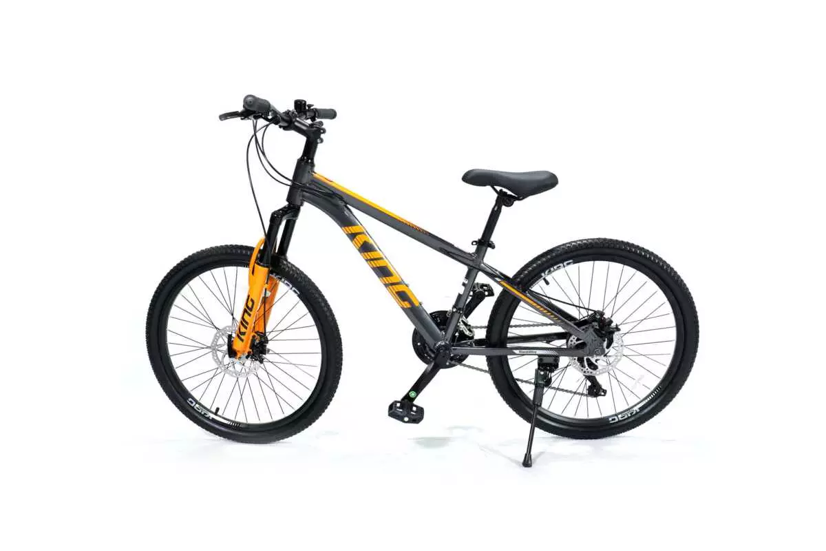 MOUNTAIN BIKE 24" ROYALBABY - Image 2