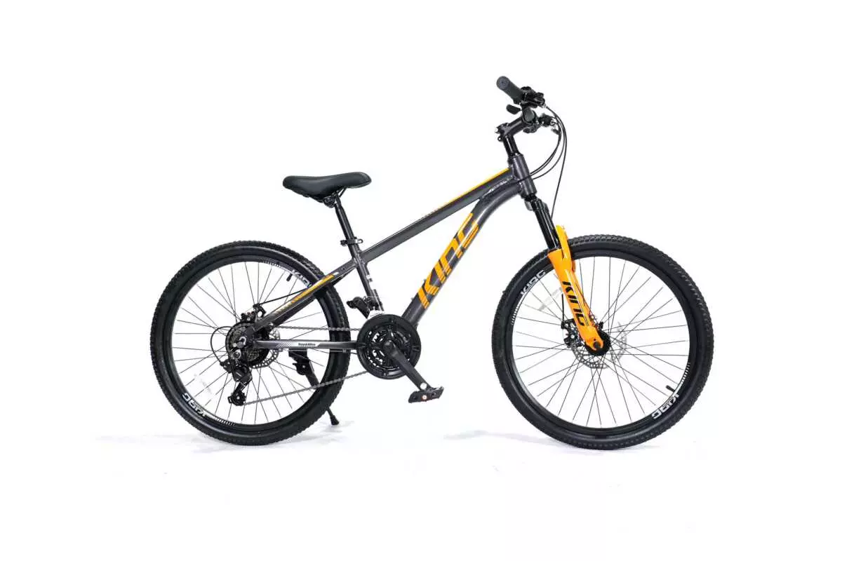 MOUNTAIN BIKE 24" ROYALBABY - Image 4