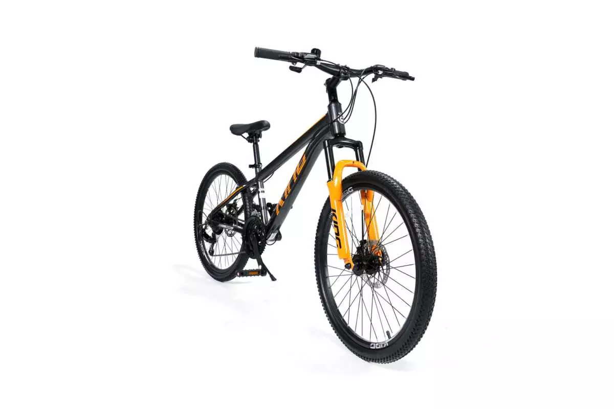 MOUNTAIN BIKE 24" ROYALBABY - Image 3