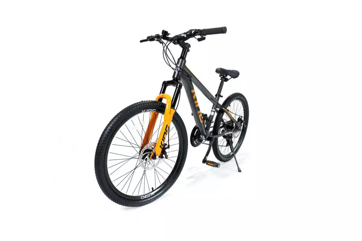 MOUNTAIN BIKE 24" ROYALBABY - Image 5