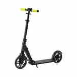 ADULT FOLDABLE KICK SCOOTER ROYALBABY