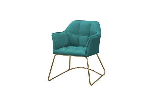 LOUNGE LEISURE CHAIR