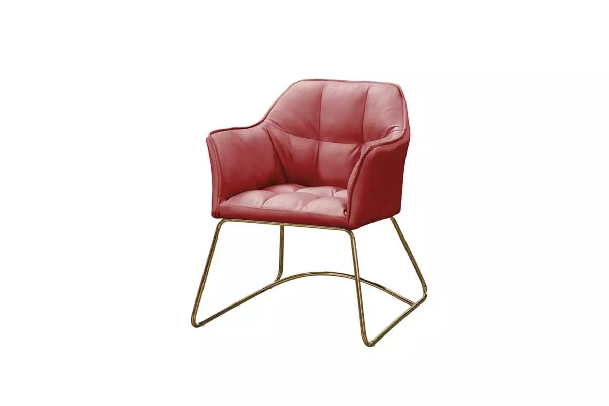 LOUNGE LEISURE CHAIR - Image 3