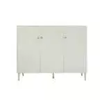 SHOE CABINET