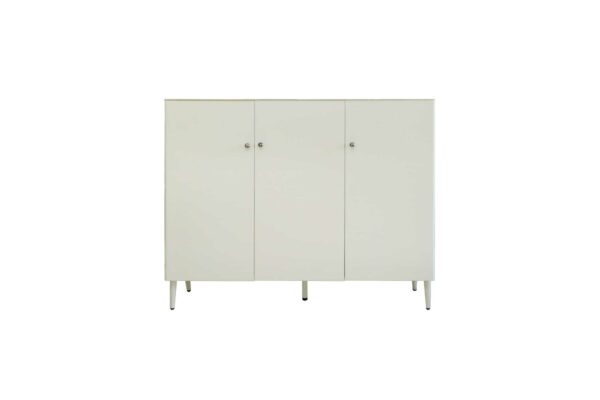 SHOE CABINET
