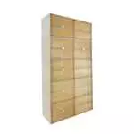 PLASTIC SHOE CABINET