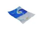 AODI BRA LAUNDRY BAG (1PCS)