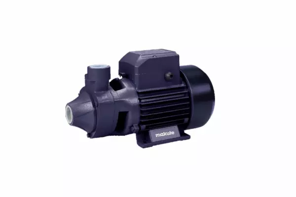 MAKUTE WATER PUMP 550W 50L/MIN