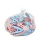 AODI PLASTIC CLIP 1.9CM (24PCS) 40X30X21CM PLASTIC,SS